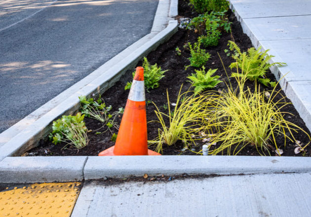 Newly planted median between the street and new sidewalk, including disabled entrance ramp, ferns, ornamental grasses, other plants, and orange safety cone