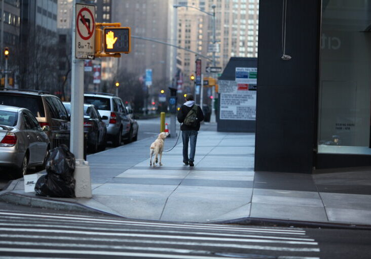 man and dog walking on New York sidewalk in winter